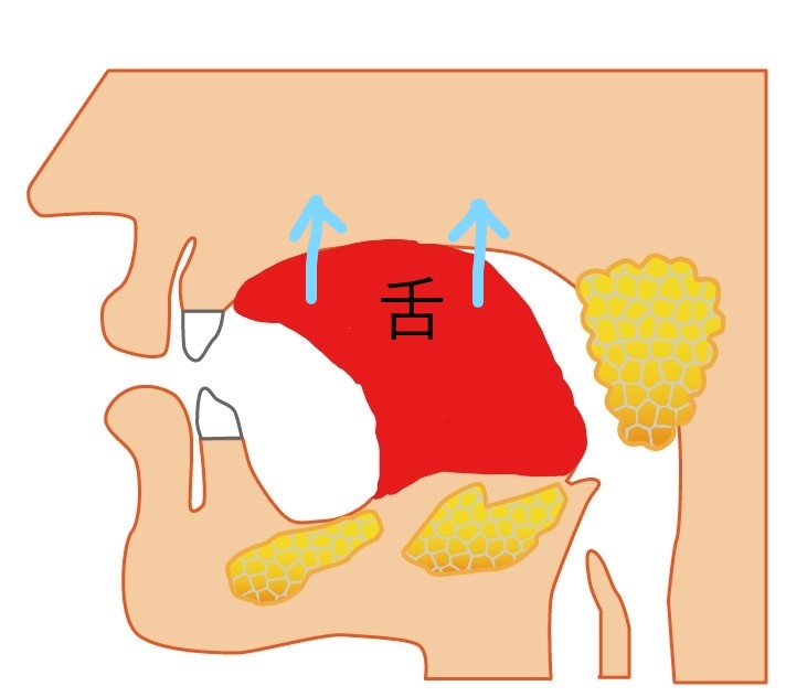 舌筋筋トレ
