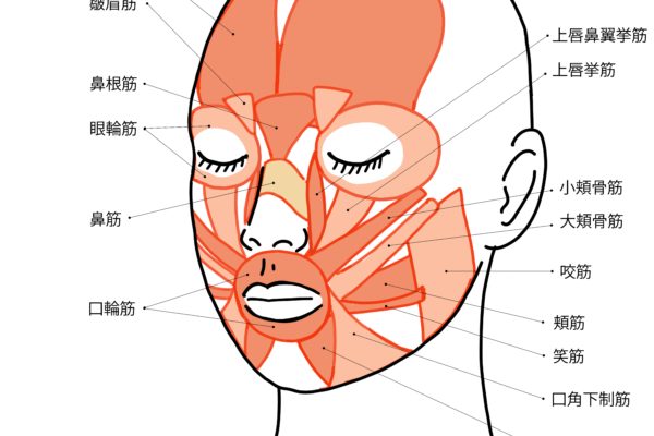 口角アップ美容鍼